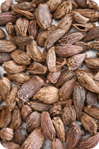 Cardamom