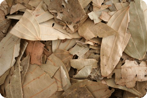Bay leaves