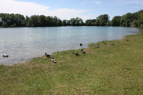 Landscape in Germany