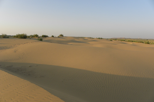 Rajasthan Desert