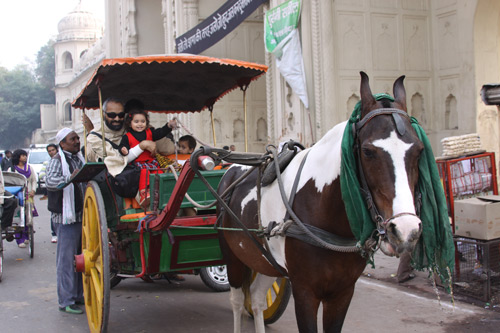 Apra going shopping on Horse Carriage
