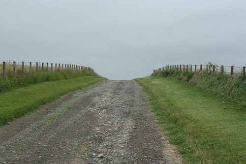 Fictional Future Fear