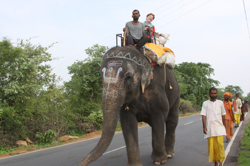 Guided Tours in India