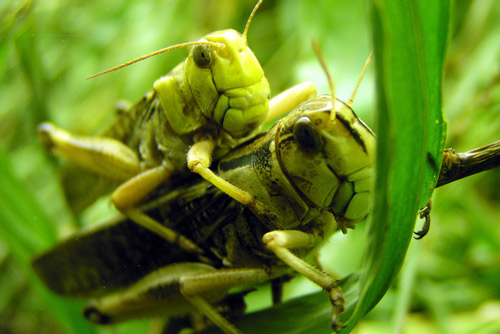 Sex and Guilty Feelings