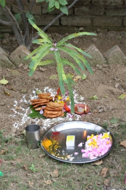 Amla Pooja