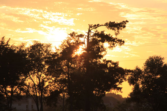 Texas - Public Transport Missing