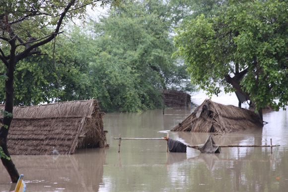 Yamuna Flood in Vrindavan