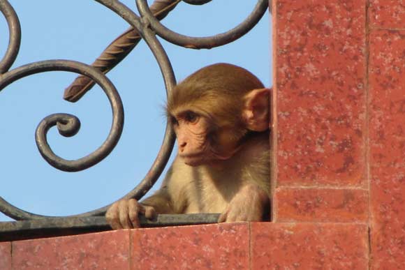 Religion or Spirituality