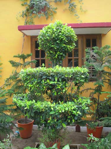 SEO and Spirituality