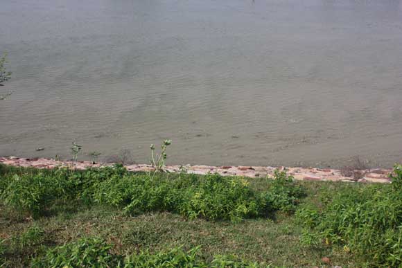 Polluted Yamuna Water