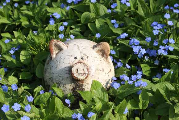 Relationship with Husband like with Father