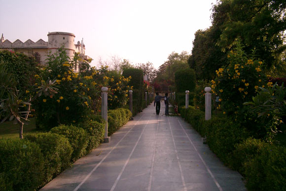 Green Nature in the Ashram