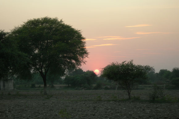 Honour Killing in Mehrana, Mathura