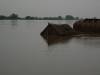Yamuna_Flood_Vrindavan_13.JPG